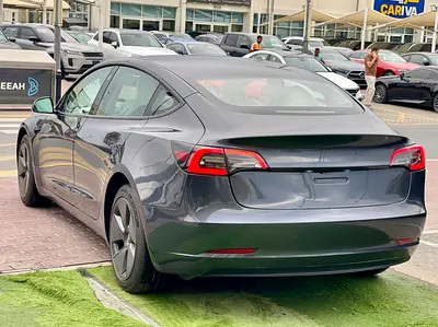 2023 Tesla MODEL 3 缩略图 12