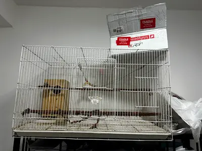 Bird cage xxl