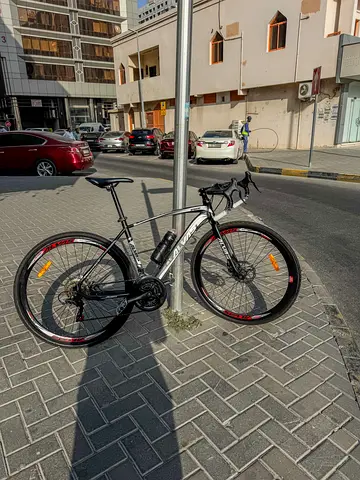 Alvas Road bike “race bike for sell” with maintaining tools + vest