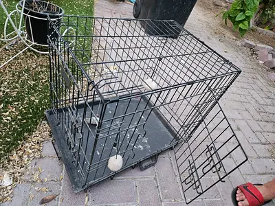Big Cat Cage