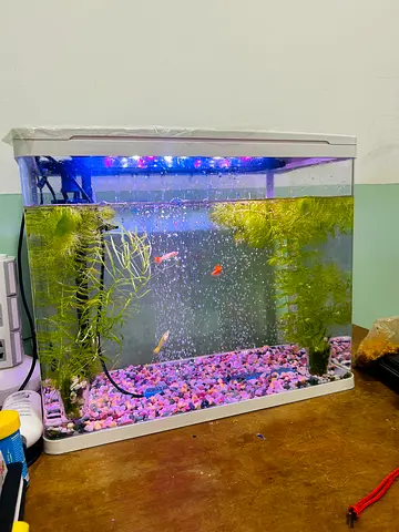 Aquarium