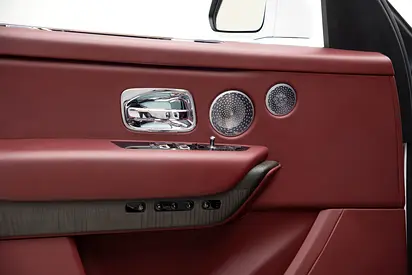 صورة مصغرة 19 لـ 2019 ROLLS-ROYCE CULLINAN