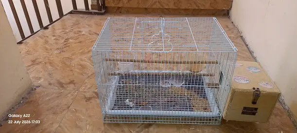 Pets accessories