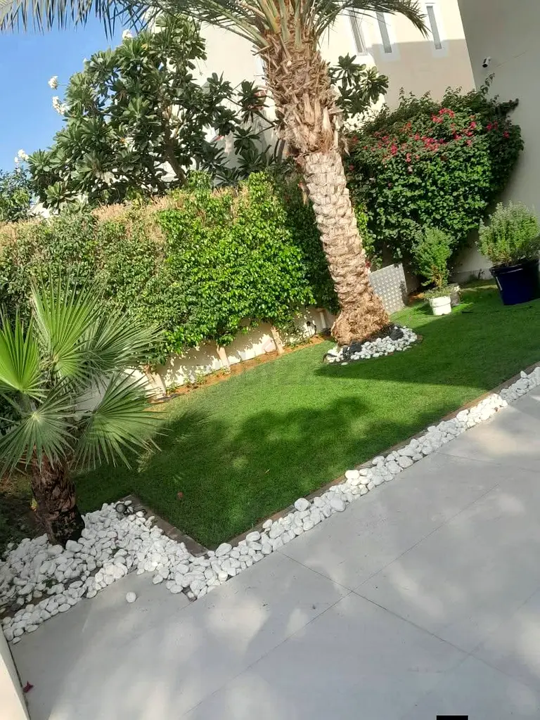 DPV_View_Image_6