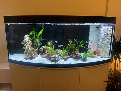 Aquarium - Juwel Vision 450 LED