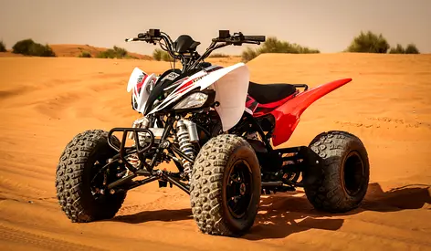 Raizer Cup 250 | Warranty up to 3 years | Tabby  Tamara (quad bike, atv , دراجة رباعية،)