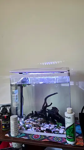 Fish tank 26L, water test strip, automatic feeder