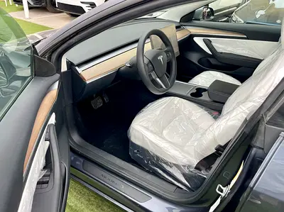 2023 Tesla MODEL 3 缩略图 13