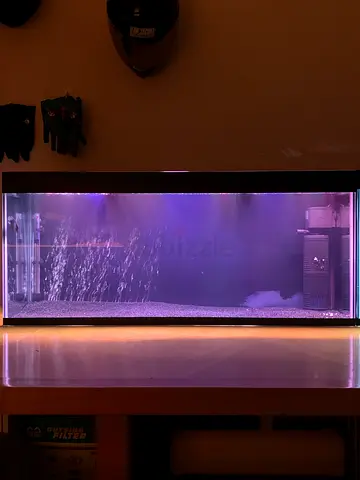 1METER BIG Aquarium/FishTank (brand new)