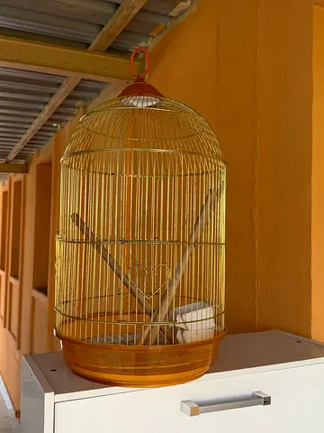Bird Cage