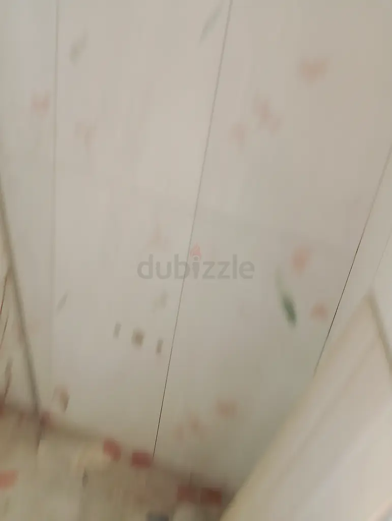 DPV_View_Image_1