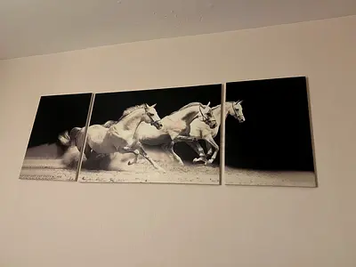 3-Piece Running White Horses Canvas Wall Art