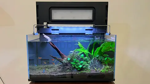 Smart Aquarium (5 Gallon) - Planted with Stand, Light and Filter - Well Maintained