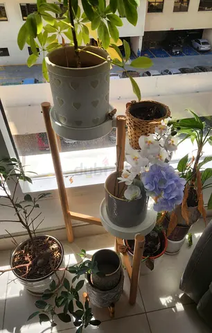 Wooden 3‑Tier Plant Stand