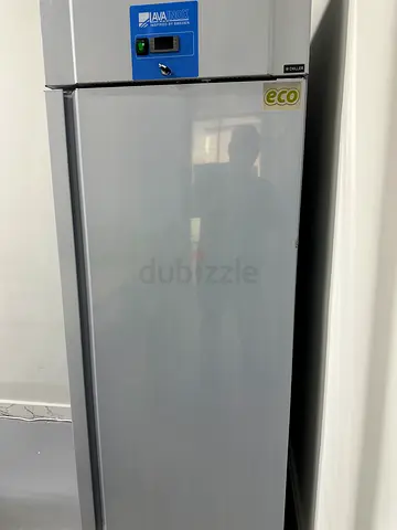 Selling of Stainless Steel Upright Chiller – 700L | Commercial Refrigerator