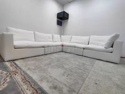 Premium quality ws living brand cloud modular feather 🪶 filled sofa
