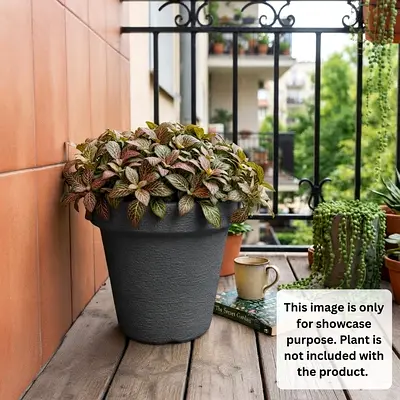 Uneek and elegant planting pots