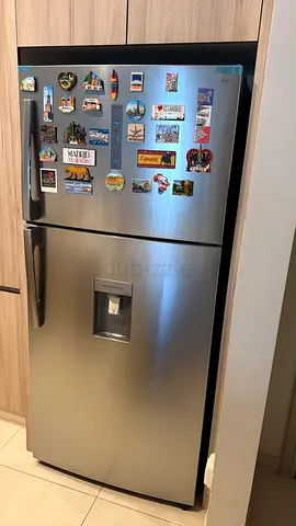 Samsung Fridge