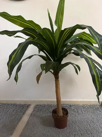Big indoor fake plant in pot - good condition