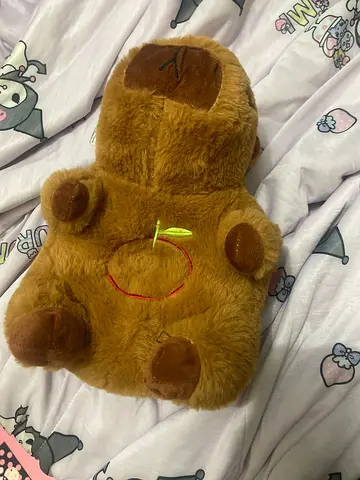 Capybara Plushie Toy