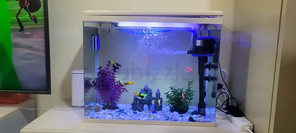 Medium LED Aquarium Fish Tank with Filter and Accessories - Ready to Use