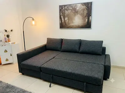 Sofa and Bed in One: Provides comfortable seating during the day and sleeping space when required. S