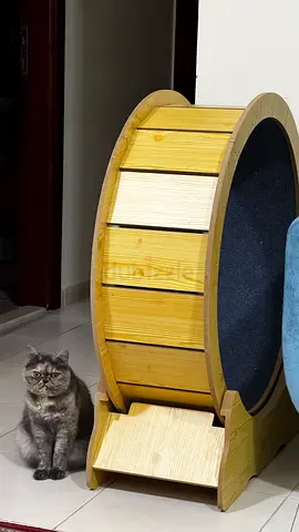 Cat Wheel - brand new
