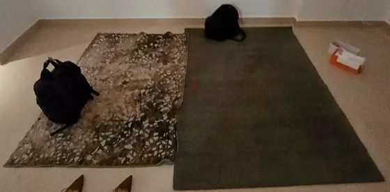Rugs