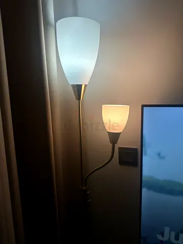 Floor lamp with adjustable reading arm and frosted glass shades