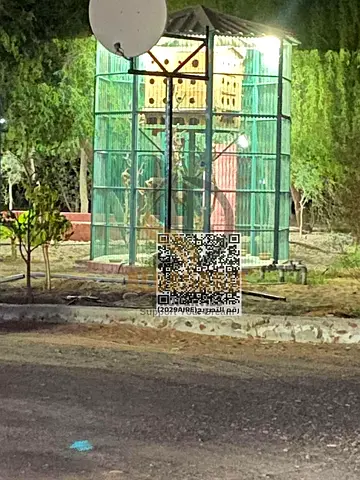 # For Sale – A Prime Investment Farm in Al Manama 14 – Ajman 🌴