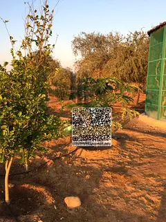 # For Sale – A Prime Investment Farm in Al Manama 14 – Ajman 🌴