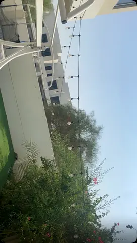 Outdoor string/bistro lights — used, working
