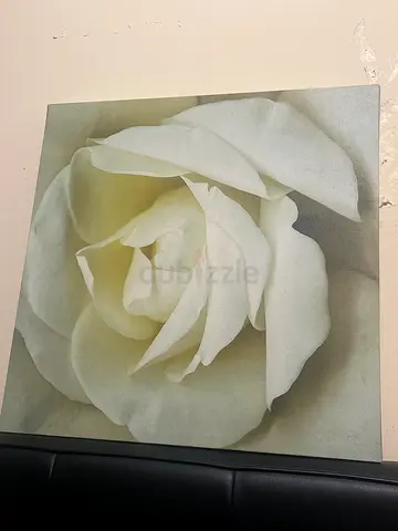 White Flower Painting