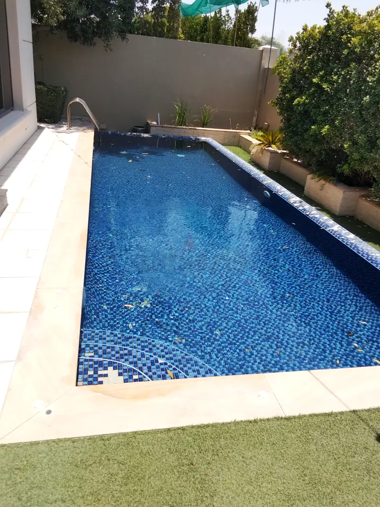 DPV_View_Image_5