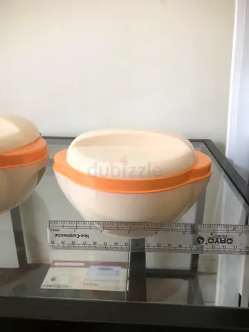 Set of 2 Round Insulated Plastic Food Storage Containers with Lids