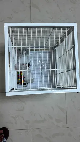 White metal bird cage with accessories, good condition