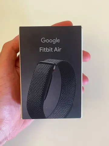 Google Fitbit Air