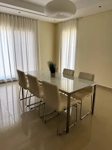 Dining table (6-8 people)