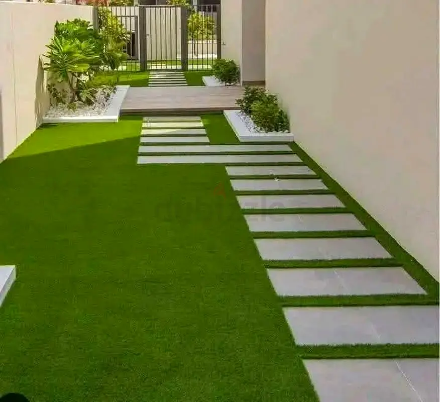 DPV_View_Image_3