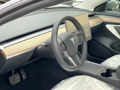 2023 Tesla MODEL 3 缩略图 15