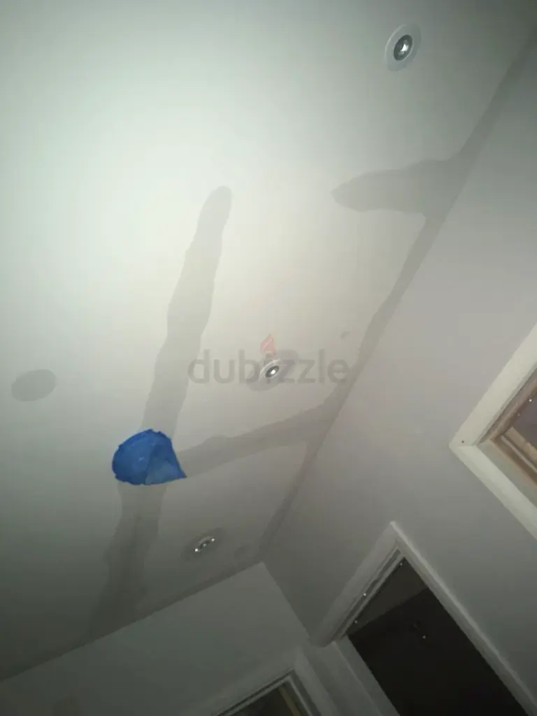 DPV_View_Image_2