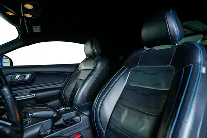 2019 FORD MUSTANG 缩略图 18