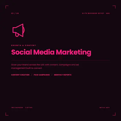Social Media Marketing Agency in Dubai – Instagram, TikTok, Facebook  LinkedIn