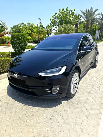 2019 Tesla MODEL X — фото 1