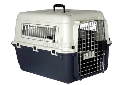 Cats and dogs carriers for air travel