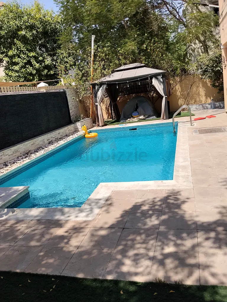 DPV_View_Image_0