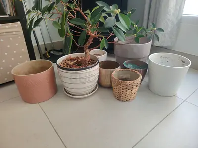 Collection of 9 assorted plant pots and planters - various sizes