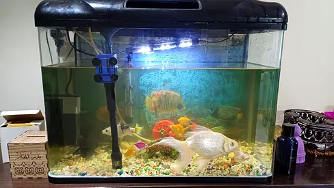 Used 40-50L Fish Aquarium with Filter, Light and Decorations