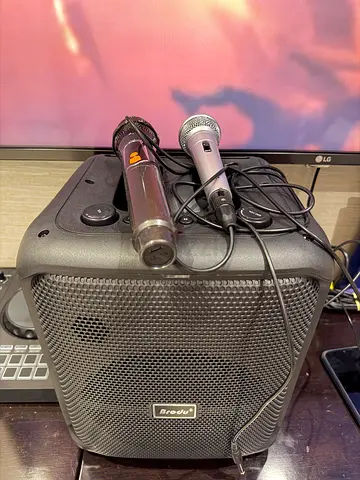 Portable Bluetooth Speaker with Two Wired Microphones - Good Condition
