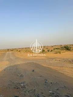 Ready-to-build land with strong investment returns